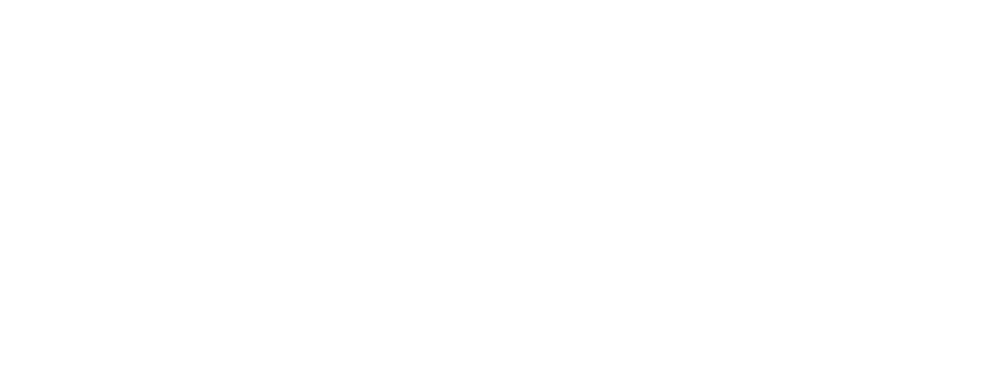 TheLink_Logo_White.png
